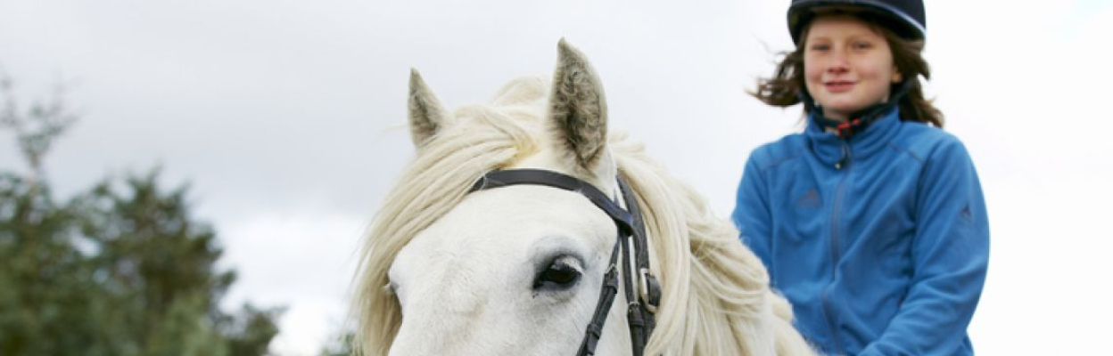 Horse riders are welcome on the Estate