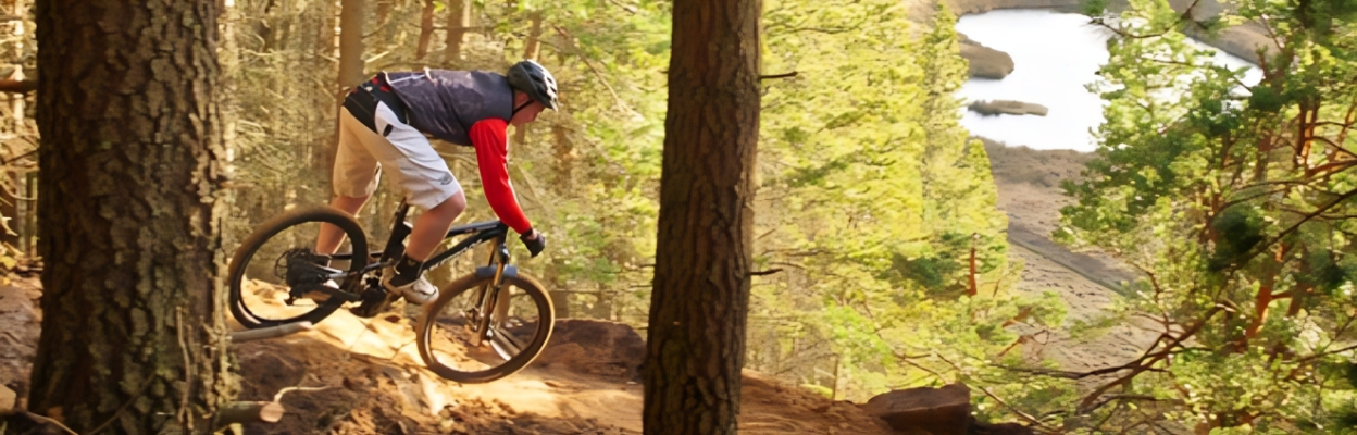 Mountain biker on the red trail