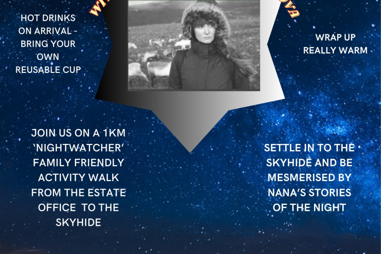 Poster showing book reading event